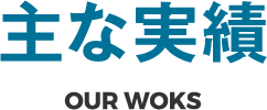 主な実績